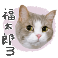 [LINEスタンプ] #054 福太郎 ＊asachi