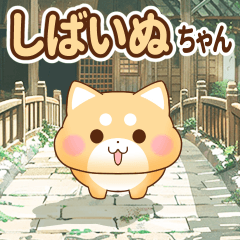 [LINEスタンプ] 飛び出す♪しばいぬちゃんのまったり日常