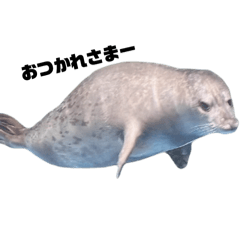 [LINEスタンプ] むにょあざらし