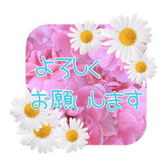 [LINEスタンプ] ふわふわ言葉スタンプ♡3