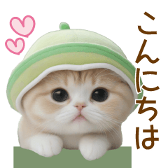 [LINEスタンプ] メロン帽が可愛い 気遣いスコティッシュ猫