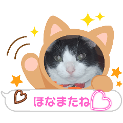 [LINEスタンプ] うちの子かわちい③