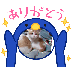 [LINEスタンプ] うちの子かわちい②