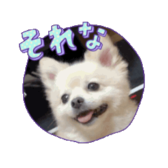 [LINEスタンプ] ぴのとろスタンプ