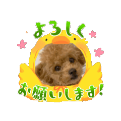 [LINEスタンプ] おてんばロコさん2