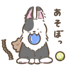 [LINEスタンプ] ゆるかわボーダーコリーズ