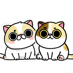 [LINEスタンプ] エキゾチックショートヘアの日常スタンプ①