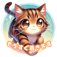 [LINEスタンプ] 猫と過ごす日常