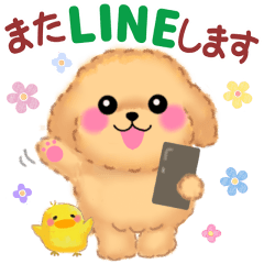 [LINEスタンプ] ずーっと使える❤️かわいいトイプードル