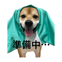 [LINEスタンプ] ぼく。よもぎ