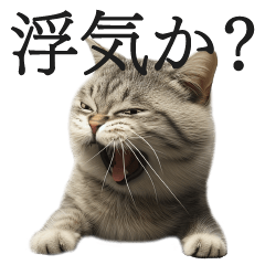 [LINEスタンプ] 彼女(妻)に激しく嫉妬する全力猫ミーム