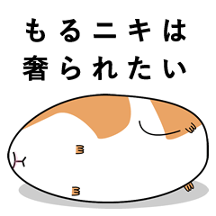 [LINEスタンプ] もるニキはとにかく奢られたい