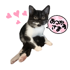 [LINEスタンプ] ペット達8010