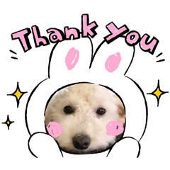 [LINEスタンプ] ぷーぷーぷーちゃん