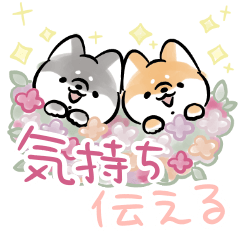 [LINEスタンプ] ほんわかしばいぬ<気持ちを伝える2>の画像（メイン）