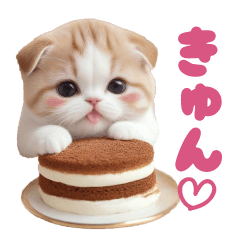 [LINEスタンプ] キュートなスコティッシュ猫 グルメな日常