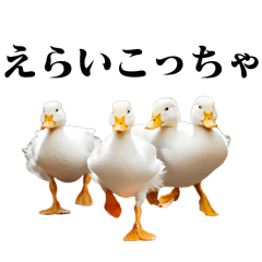 [LINEスタンプ] 関西弁アヒル