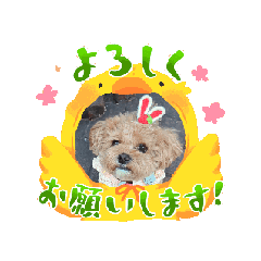 [LINEスタンプ] リノとムゥ