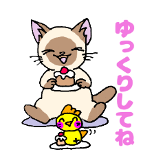 [LINEスタンプ] ほうせんか猫の部屋 毎日使えるスタンプ