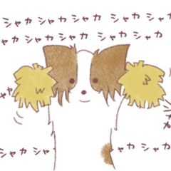 [LINEスタンプ] 手書きなゆるパピヨン ホワイト・ブラウン