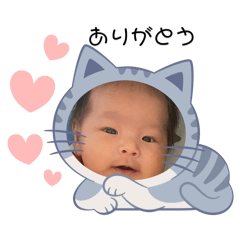 [LINEスタンプ] はじめましたこあたん