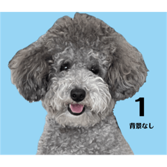 [LINEスタンプ] うちの子 モア【1】（背景なし）
