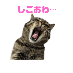 [LINEスタンプ] 私の今スタンプ