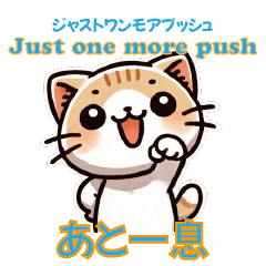 [LINEスタンプ] カワイイ猫が応援している