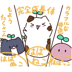 [LINEスタンプ] はぱねこ しりーず1