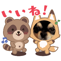 [LINEスタンプ] ♡チョコ♪