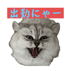 [LINEスタンプ] モチジョボ 仕事用1