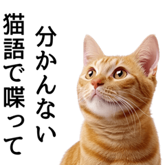 [LINEスタンプ] かわいい猫のリアルな毒舌・煽りの画像（メイン）