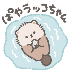 [LINEスタンプ] ぱやラッコちゃん◎