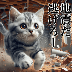 [LINEスタンプ] 地震の時に使える猫スタンプ