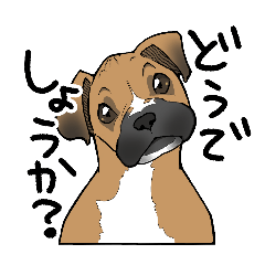 [LINEスタンプ] ボクサー犬のブレゴ