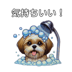 [LINEスタンプ] ソリッドカラーゴールドシーズー