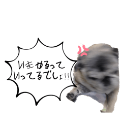 [LINEスタンプ] 愛の詰まってるすたんぷ