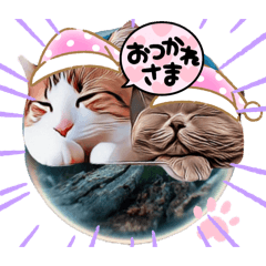 [LINEスタンプ] 猫夫婦