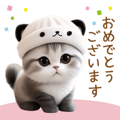 [LINEスタンプ] パンダ帽が可愛い猫たち 思いやり 敬語ver.