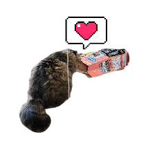[LINEスタンプ] もっこりもこもこもこみちくん②