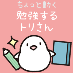 [LINEスタンプ] 勉強するトリさん (勉強シリーズ3) 修正版