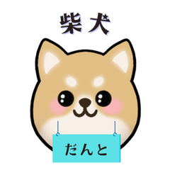 [LINEスタンプ] もふもふ柴犬 だんと君 ☆1☆