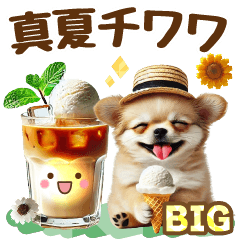 [LINEスタンプ] [BIG]チワワと真夏の日常スタンプ