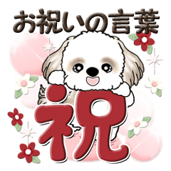 [LINEスタンプ] シーズーちゃん【お祝いの言葉】の画像（メイン）