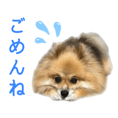 [LINEスタンプ] いなべっこ3