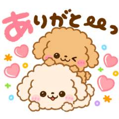 [LINEスタンプ] 毎日使える♡ふわもこといぷーの画像（メイン）