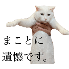 [LINEスタンプ] ふわまる大先生！