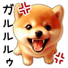 [LINEスタンプ] 喜怒哀楽の激しい柴犬☆