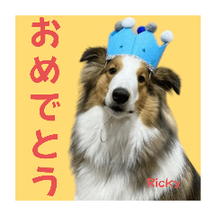[LINEスタンプ] RICKY君の日常スタンプ
