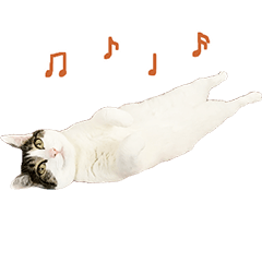 [LINEスタンプ] 白キジ猫の日常